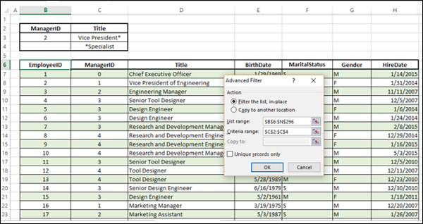 Specialist and Vice President Information